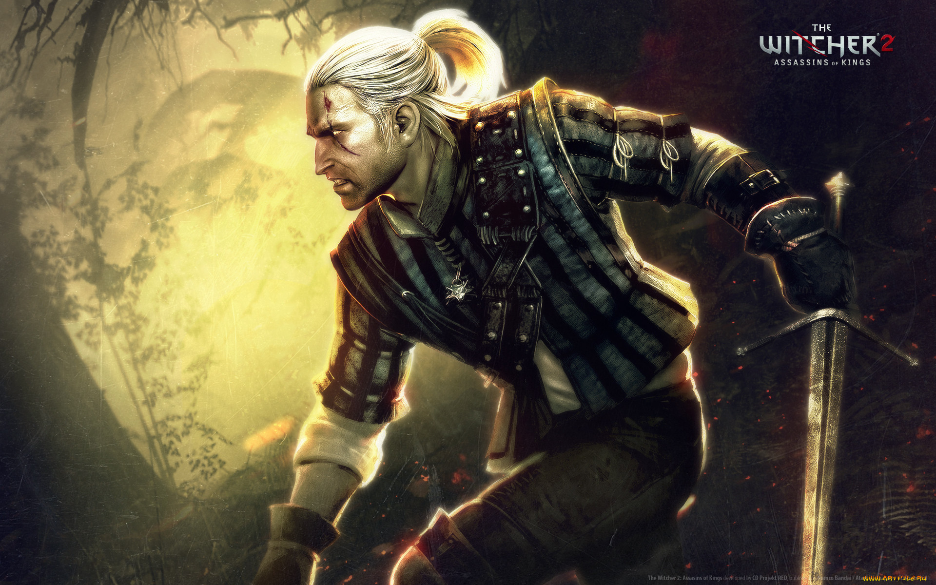 Обои The Witcher 2: Assassins of Kings Видео Игры The Witcher 2: Assassins  of Kings, обои для рабочего стола, фотографии the, witcher, assassins, of,  kings, видео, игры Обои для рабочего стола, скачать